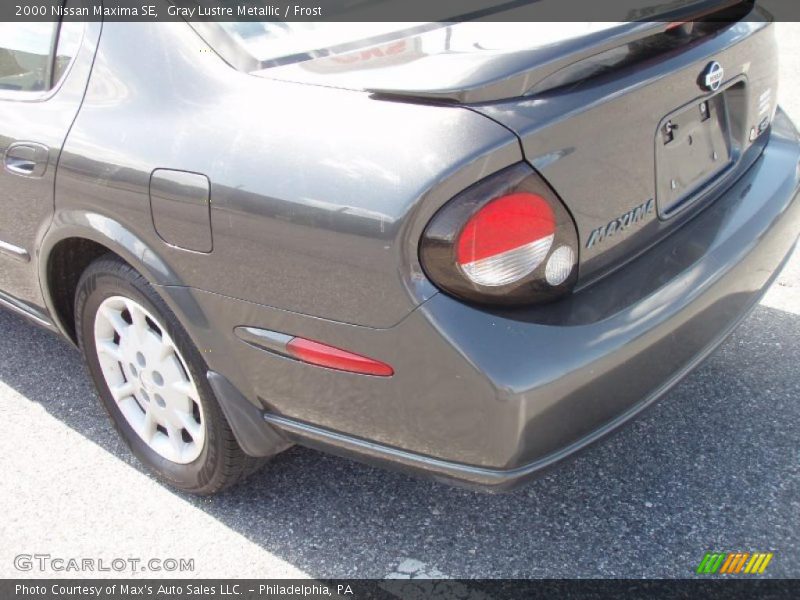 Gray Lustre Metallic / Frost 2000 Nissan Maxima SE