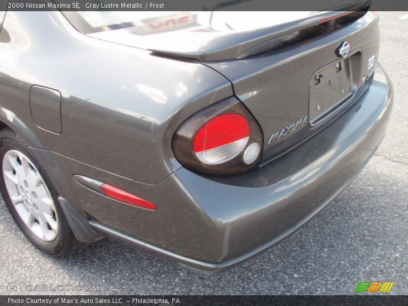 Gray Lustre Metallic / Frost 2000 Nissan Maxima SE