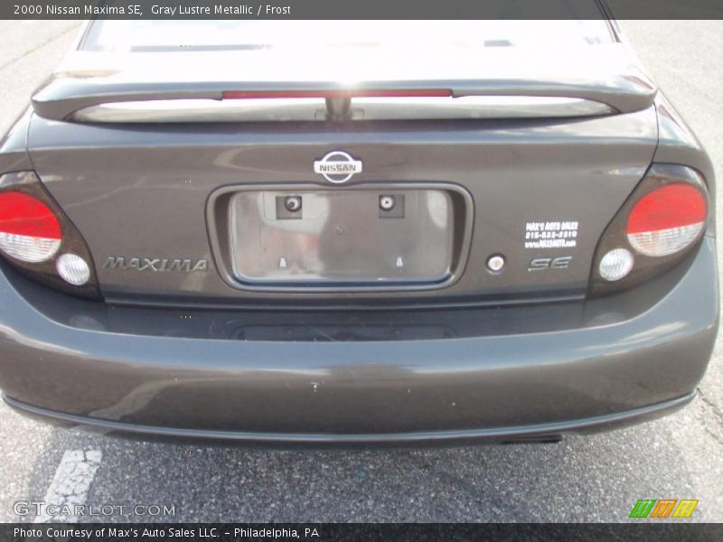 Gray Lustre Metallic / Frost 2000 Nissan Maxima SE