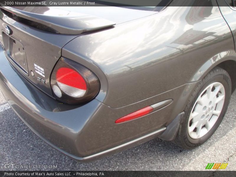 Gray Lustre Metallic / Frost 2000 Nissan Maxima SE