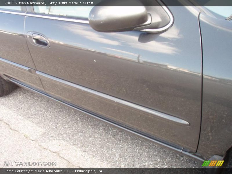 Gray Lustre Metallic / Frost 2000 Nissan Maxima SE