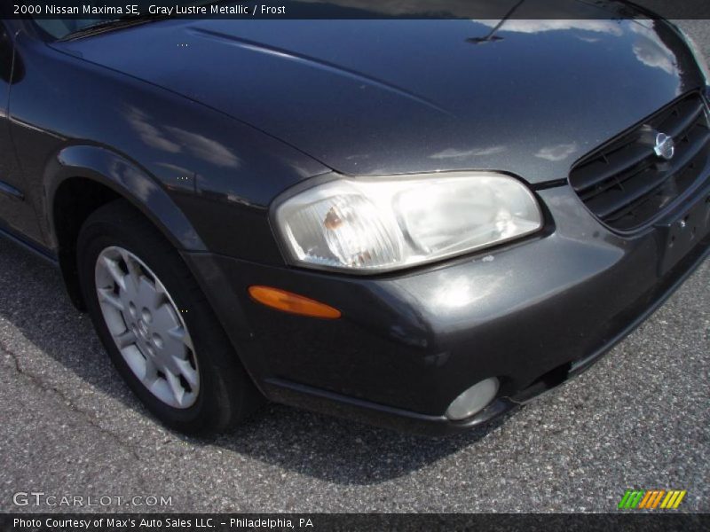 Gray Lustre Metallic / Frost 2000 Nissan Maxima SE