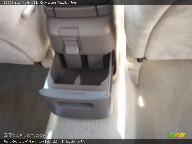 Gray Lustre Metallic / Frost 2000 Nissan Maxima SE