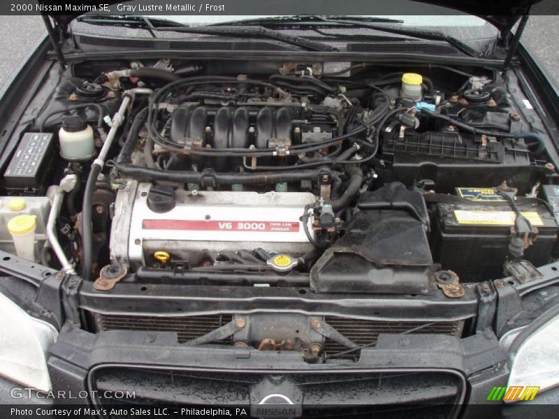 Gray Lustre Metallic / Frost 2000 Nissan Maxima SE