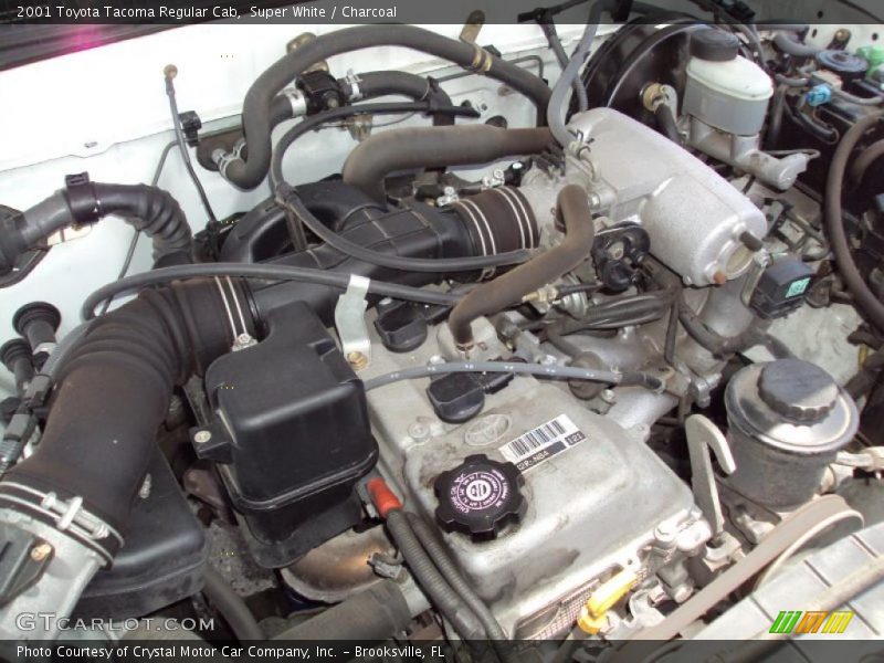 Super White / Charcoal 2001 Toyota Tacoma Regular Cab