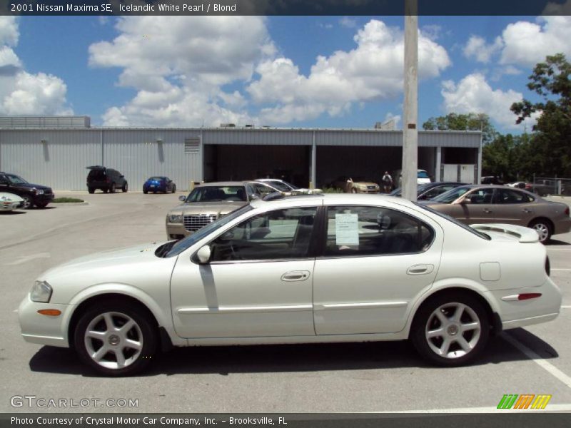 Icelandic White Pearl / Blond 2001 Nissan Maxima SE