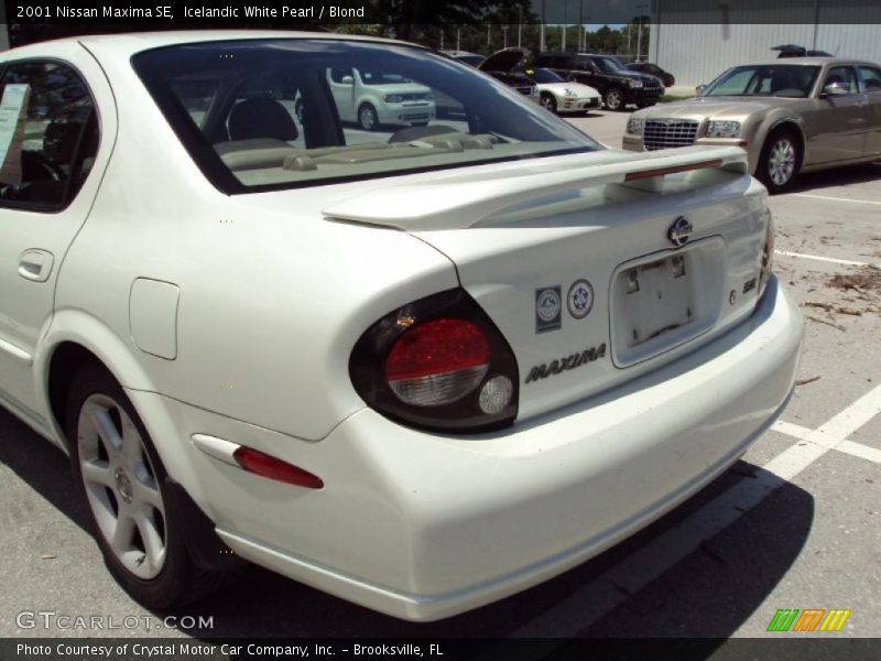 Icelandic White Pearl / Blond 2001 Nissan Maxima SE
