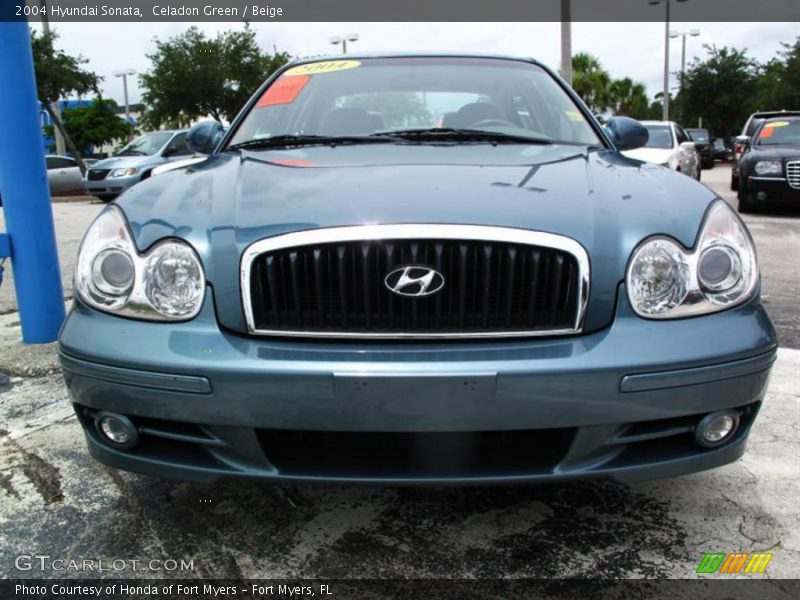 Celadon Green / Beige 2004 Hyundai Sonata