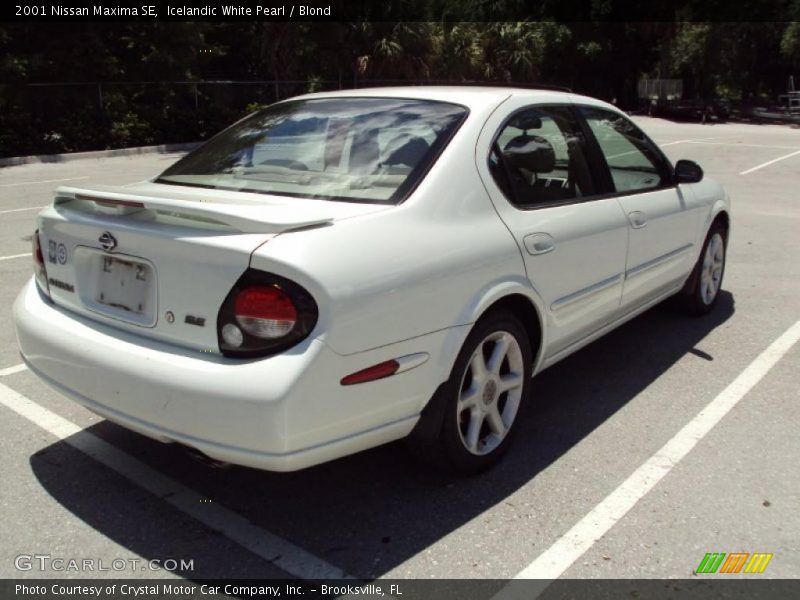 Icelandic White Pearl / Blond 2001 Nissan Maxima SE