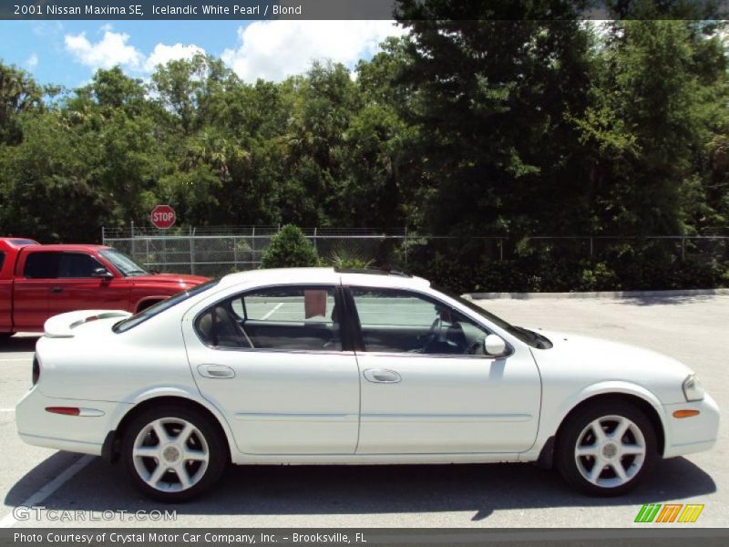Icelandic White Pearl / Blond 2001 Nissan Maxima SE