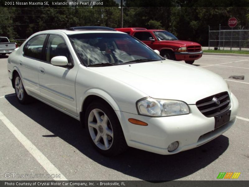 Icelandic White Pearl / Blond 2001 Nissan Maxima SE