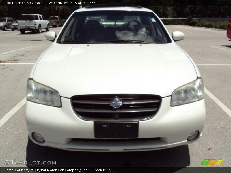 Icelandic White Pearl / Blond 2001 Nissan Maxima SE