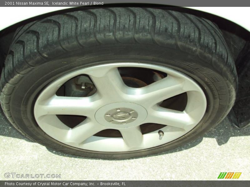 Icelandic White Pearl / Blond 2001 Nissan Maxima SE
