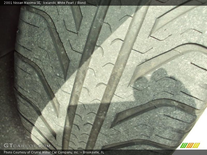 Icelandic White Pearl / Blond 2001 Nissan Maxima SE
