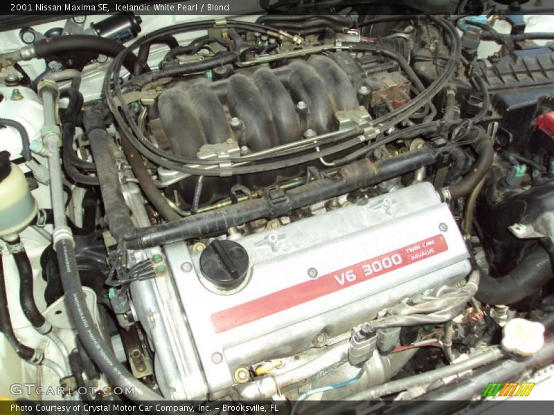 Icelandic White Pearl / Blond 2001 Nissan Maxima SE