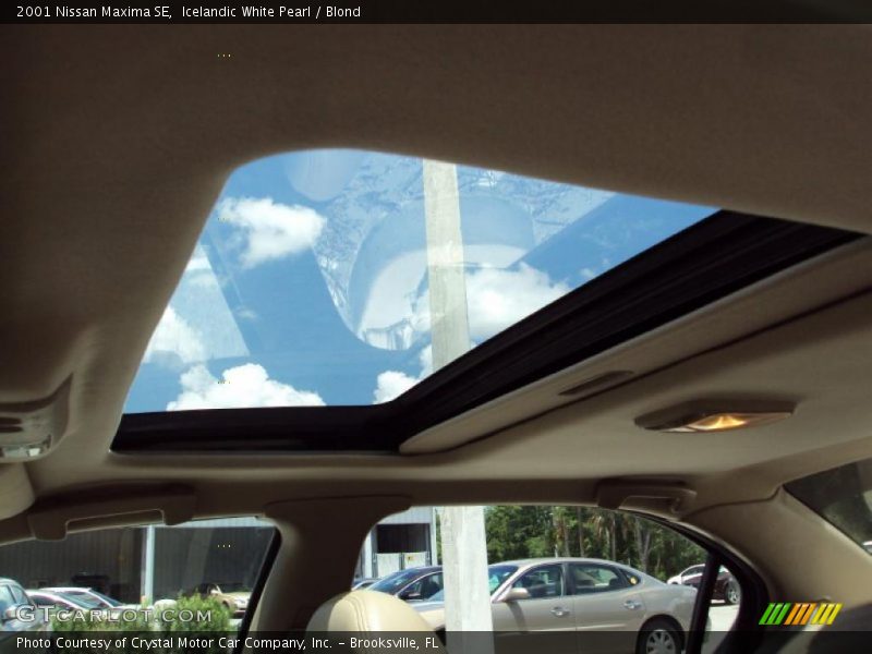 Icelandic White Pearl / Blond 2001 Nissan Maxima SE
