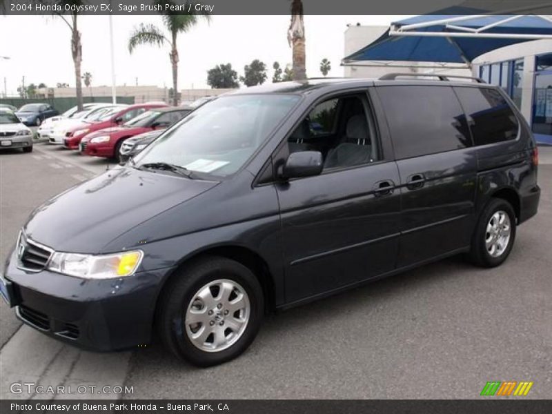 Sage Brush Pearl / Gray 2004 Honda Odyssey EX