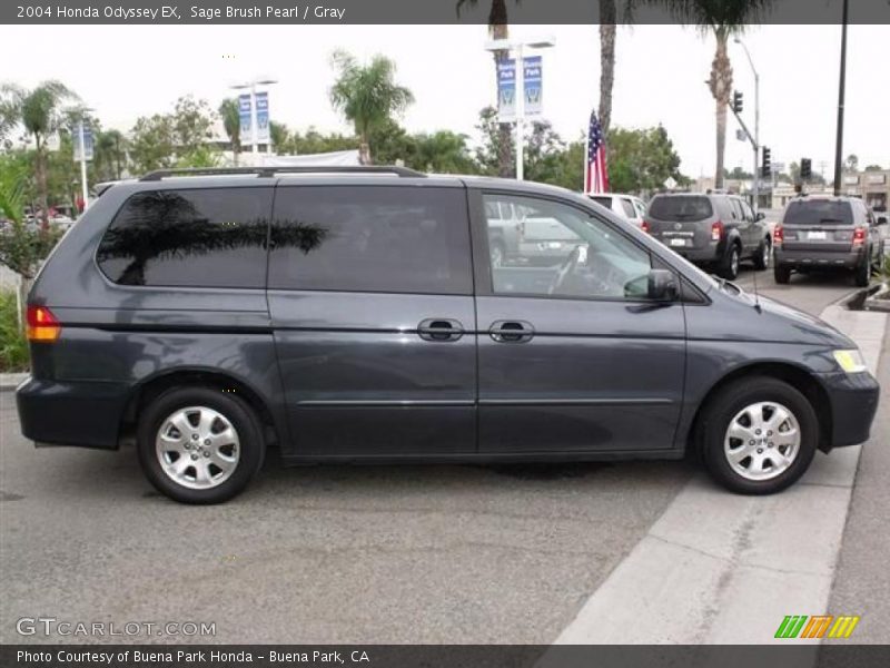Sage Brush Pearl / Gray 2004 Honda Odyssey EX