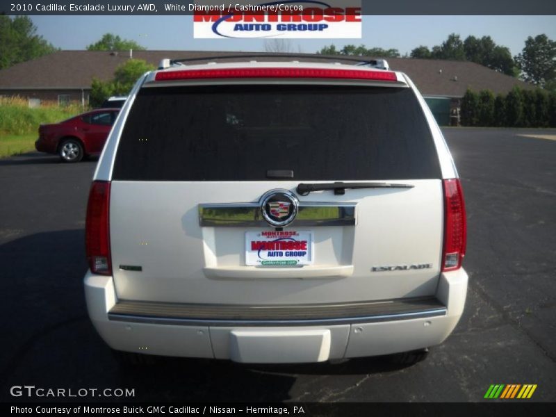 White Diamond / Cashmere/Cocoa 2010 Cadillac Escalade Luxury AWD