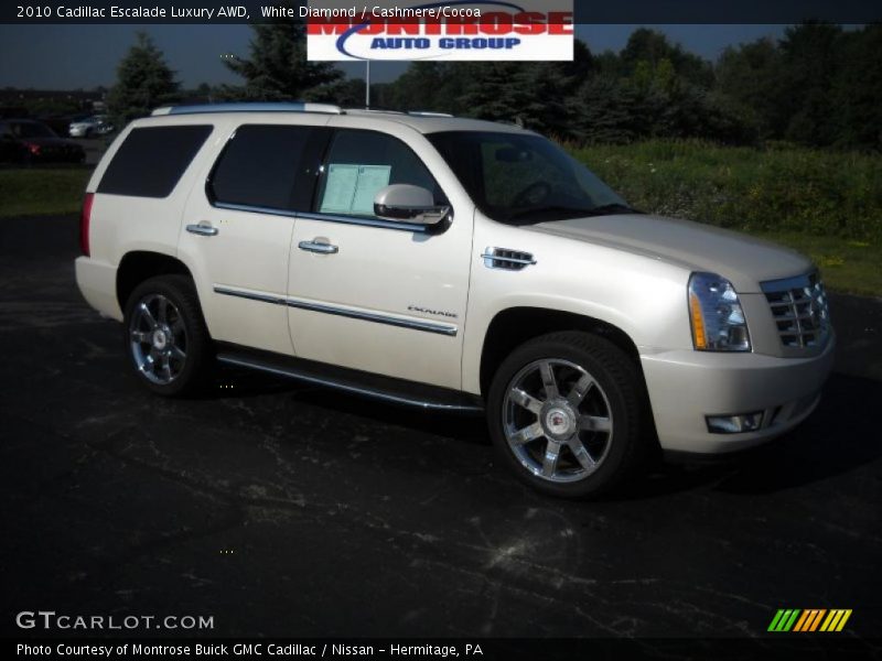White Diamond / Cashmere/Cocoa 2010 Cadillac Escalade Luxury AWD