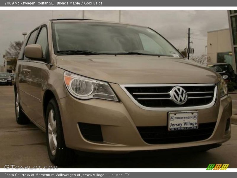 Blonde Maple / Gobi Beige 2009 Volkswagen Routan SE