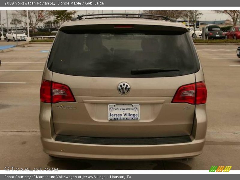 Blonde Maple / Gobi Beige 2009 Volkswagen Routan SE