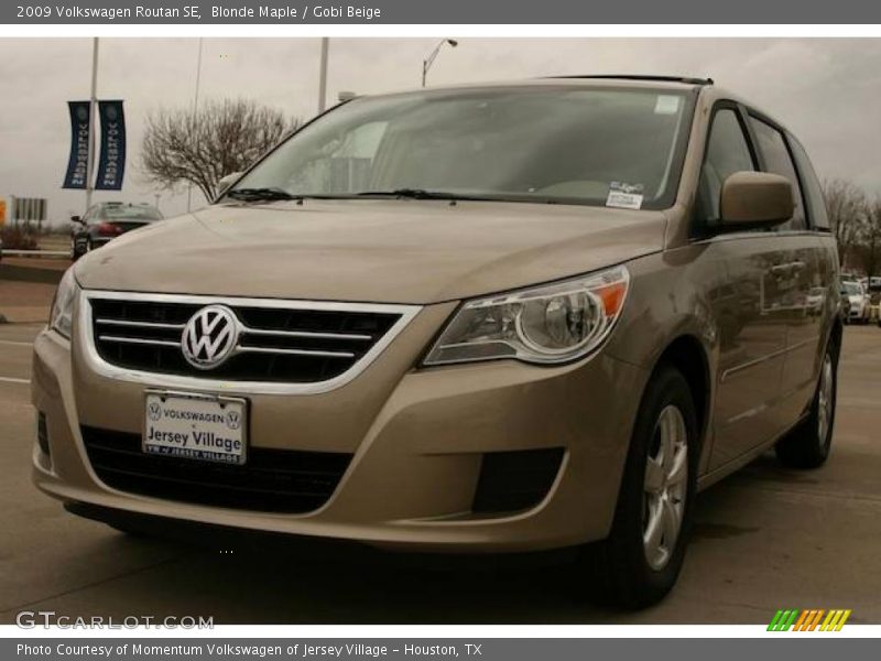 Blonde Maple / Gobi Beige 2009 Volkswagen Routan SE