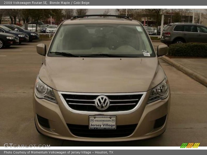 Blonde Maple / Gobi Beige 2009 Volkswagen Routan SE