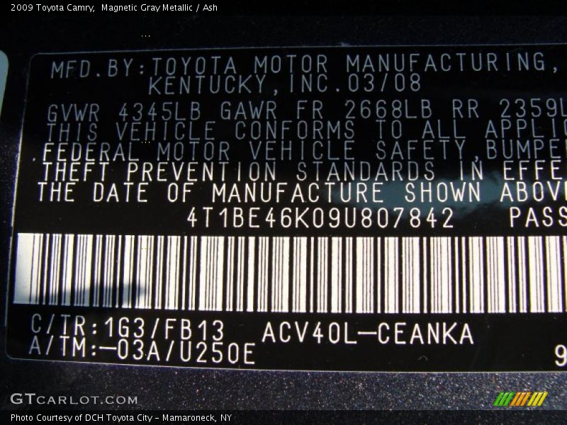 Magnetic Gray Metallic / Ash 2009 Toyota Camry