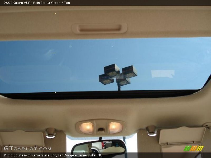 Rain Forest Green / Tan 2004 Saturn VUE