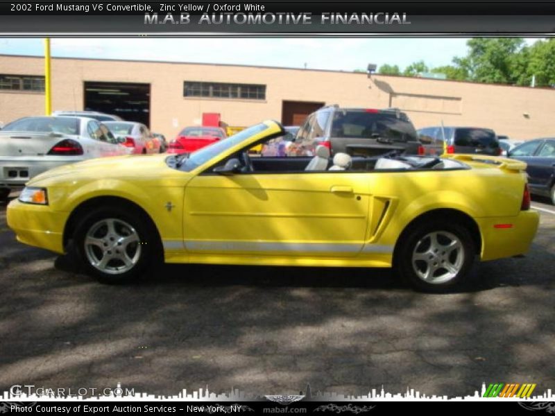 Zinc Yellow / Oxford White 2002 Ford Mustang V6 Convertible