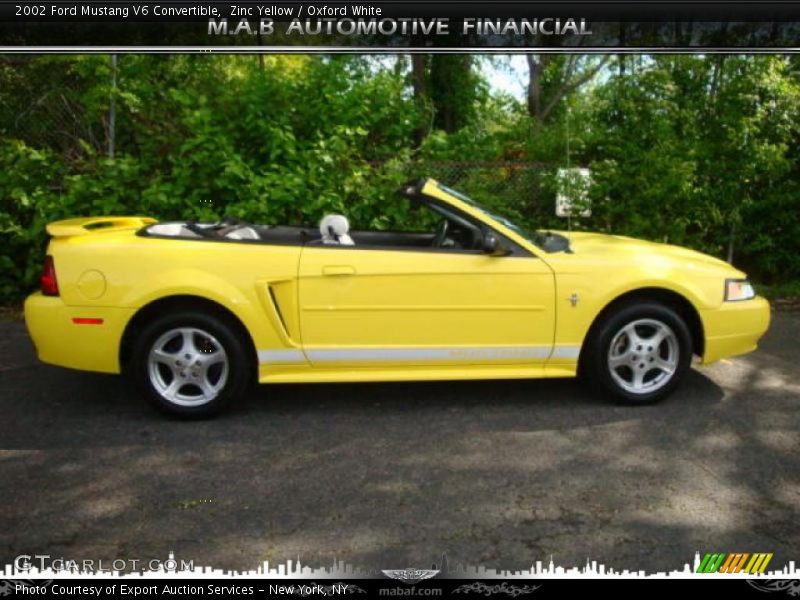 Zinc Yellow / Oxford White 2002 Ford Mustang V6 Convertible