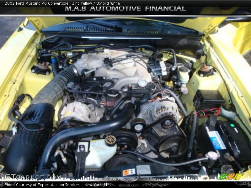 Zinc Yellow / Oxford White 2002 Ford Mustang V6 Convertible