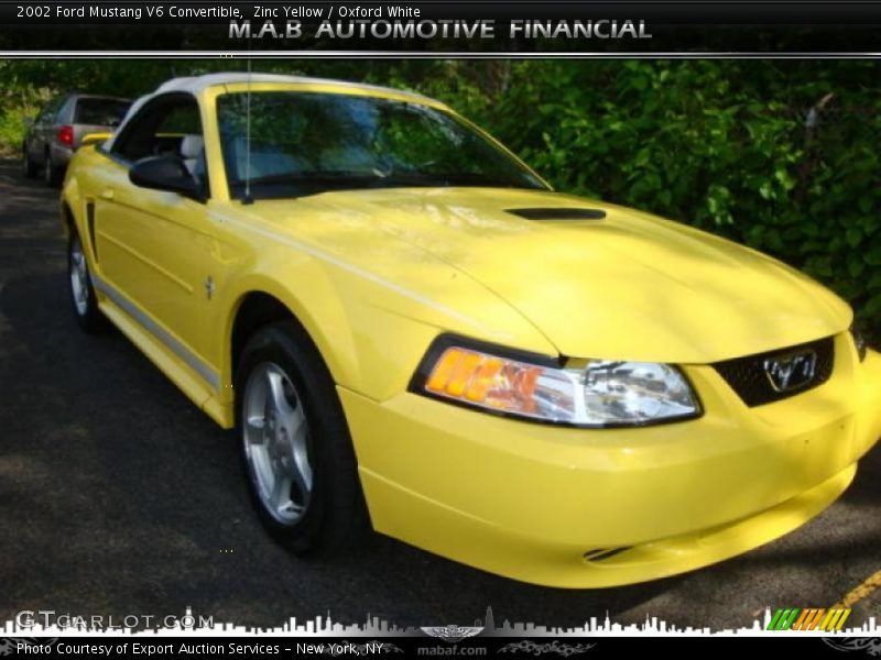 Zinc Yellow / Oxford White 2002 Ford Mustang V6 Convertible