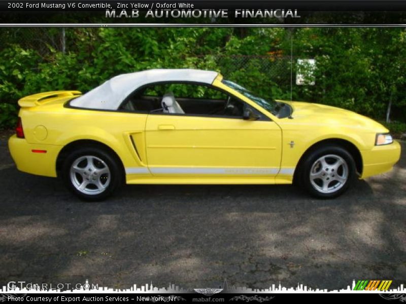 Zinc Yellow / Oxford White 2002 Ford Mustang V6 Convertible