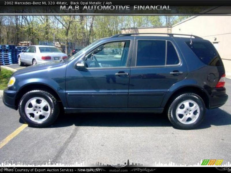Black Opal Metallic / Ash 2002 Mercedes-Benz ML 320 4Matic