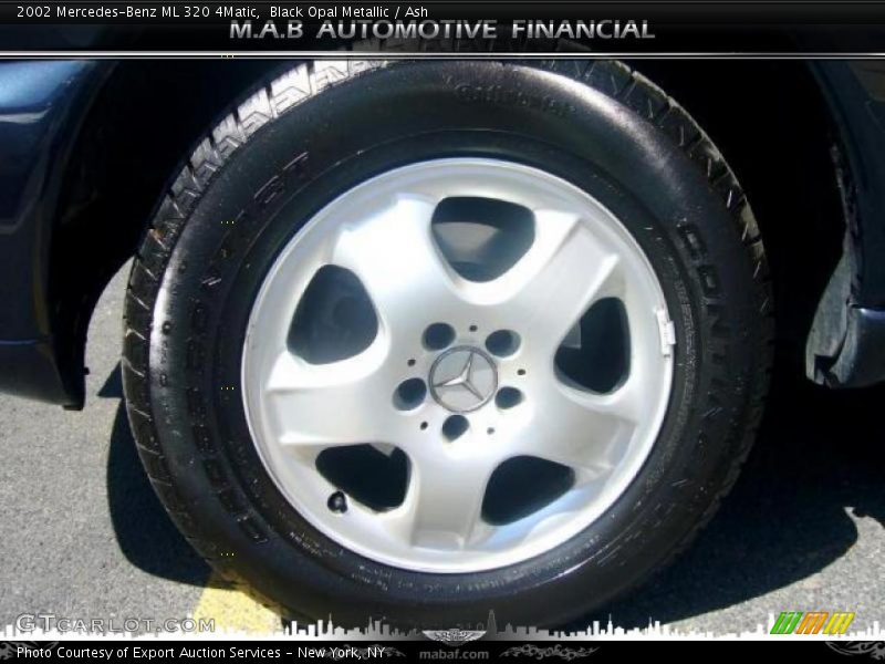 Black Opal Metallic / Ash 2002 Mercedes-Benz ML 320 4Matic