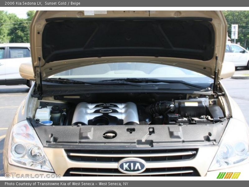 Sunset Gold / Beige 2006 Kia Sedona LX
