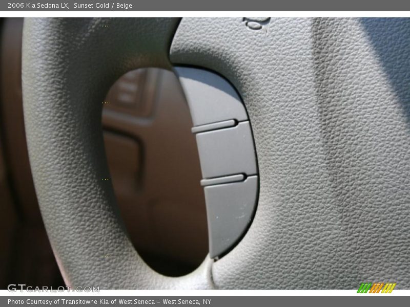Sunset Gold / Beige 2006 Kia Sedona LX