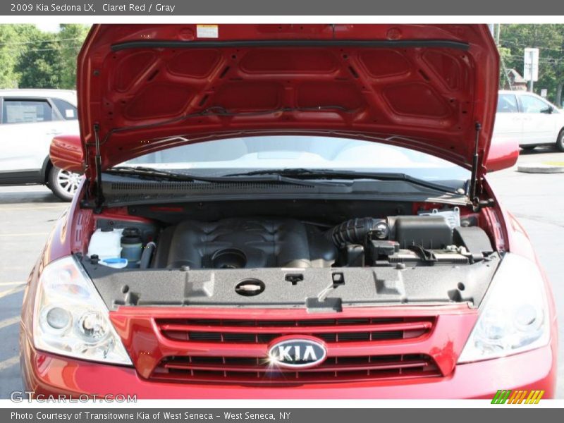 Claret Red / Gray 2009 Kia Sedona LX