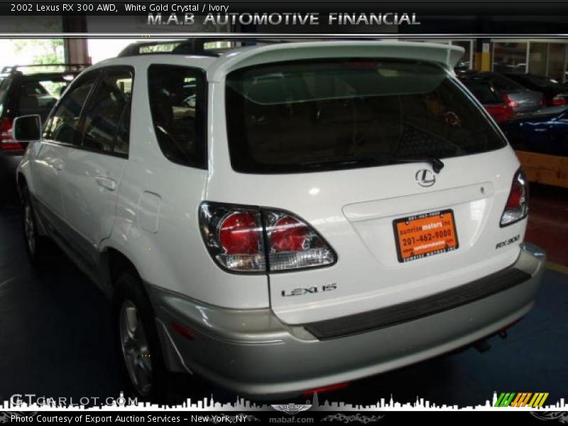 White Gold Crystal / Ivory 2002 Lexus RX 300 AWD