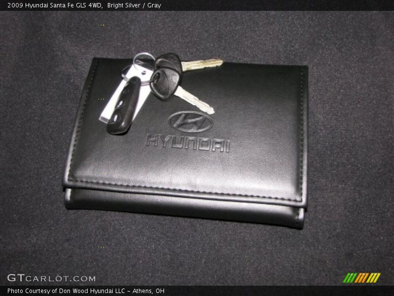 Bright Silver / Gray 2009 Hyundai Santa Fe GLS 4WD