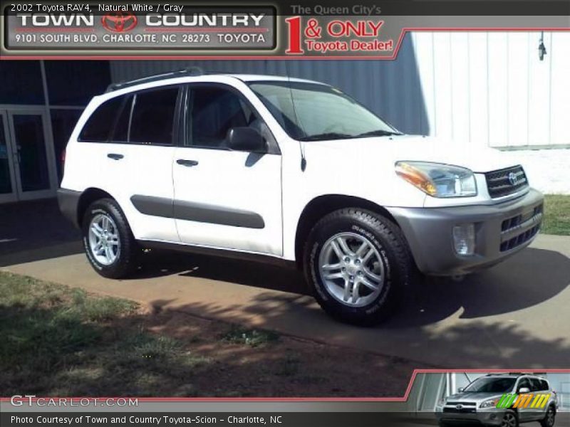 Natural White / Gray 2002 Toyota RAV4