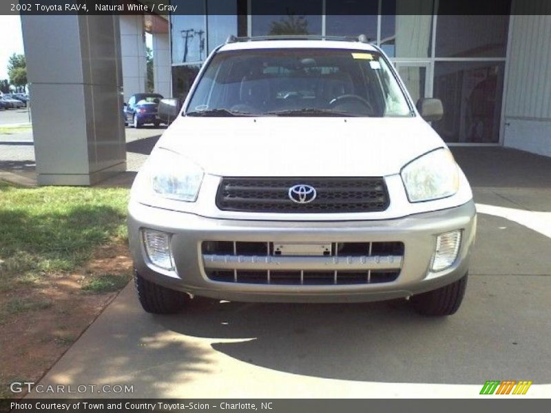 Natural White / Gray 2002 Toyota RAV4