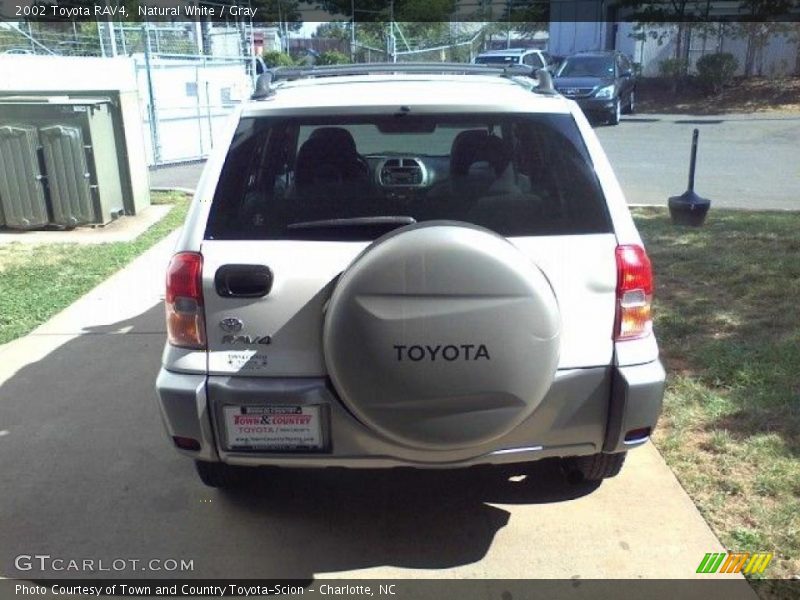 Natural White / Gray 2002 Toyota RAV4