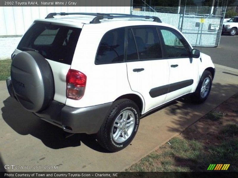 Natural White / Gray 2002 Toyota RAV4