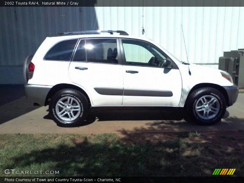 Natural White / Gray 2002 Toyota RAV4