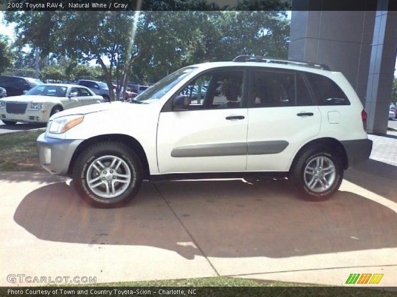 Natural White / Gray 2002 Toyota RAV4