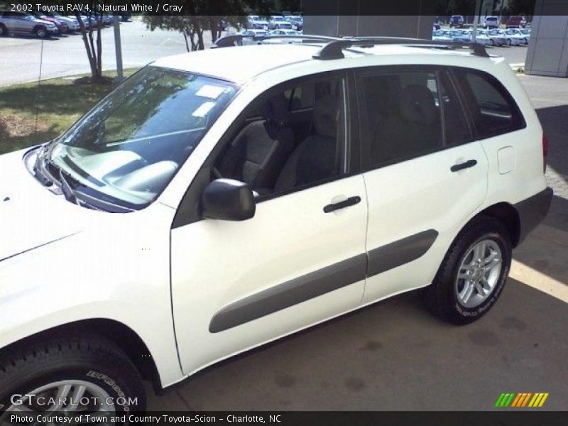 Natural White / Gray 2002 Toyota RAV4
