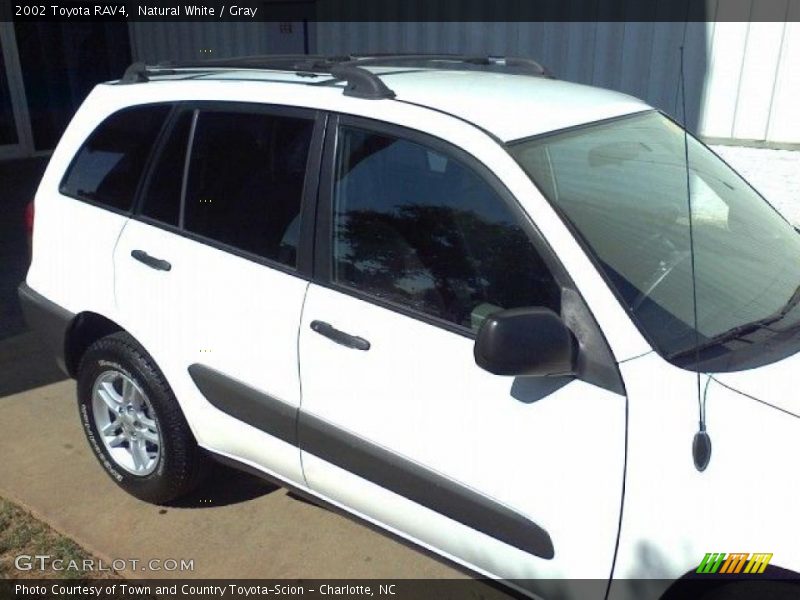 Natural White / Gray 2002 Toyota RAV4